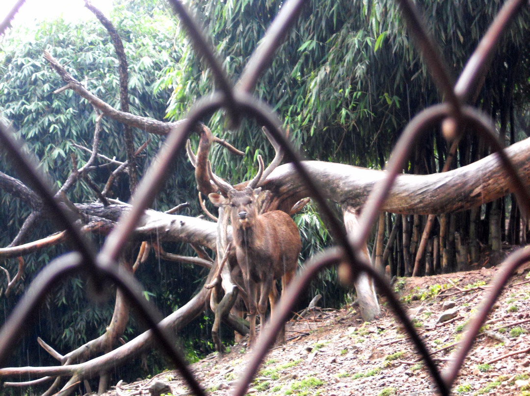 Dhauladhar National Park景点图片