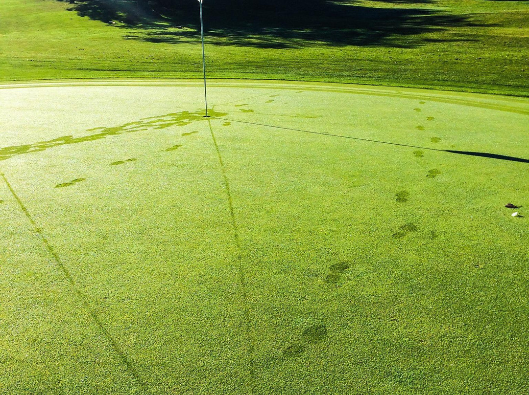 Thunderbird Hills Golf Courses-Huron必去景点