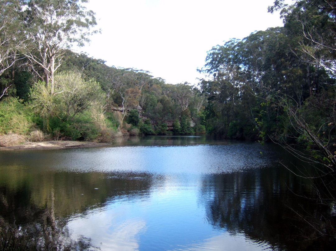 Lane Cove North旅游攻略图片