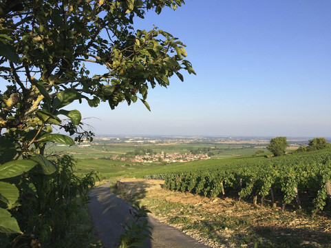 Culturewinetv-博讷必去景点