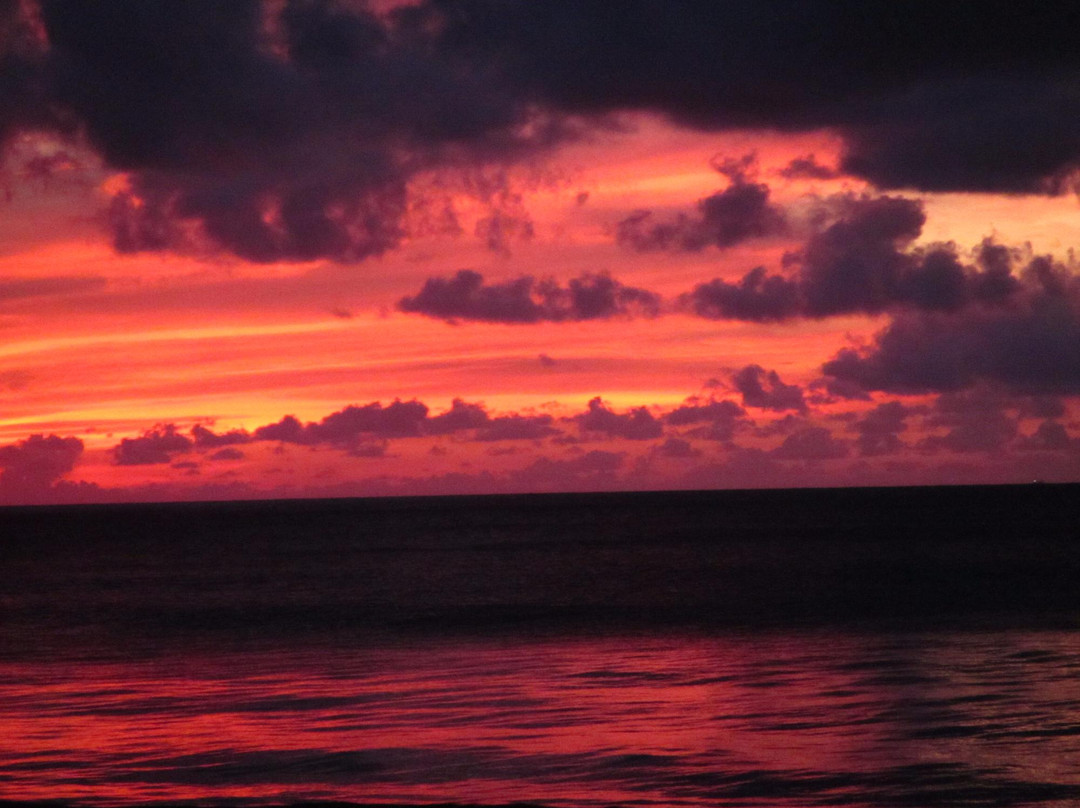 Tropical Research and Conservation Centre-古达必去景点