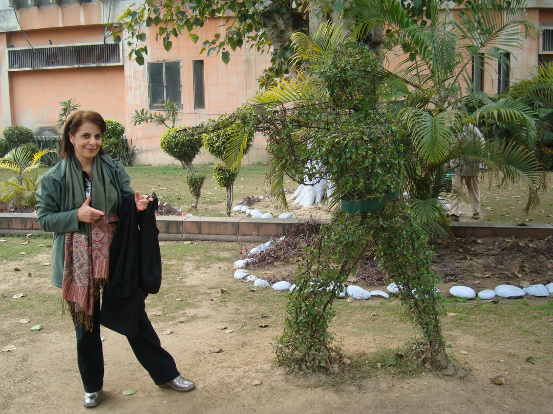 Maharajah Ranjit Singh Panorama-阿姆利则必去景点