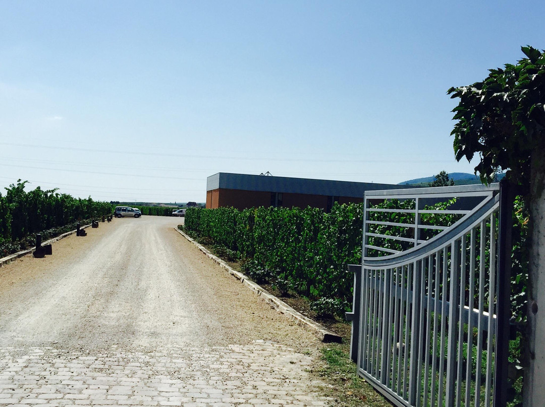 Domaine Zind-Humbrecht景点图片