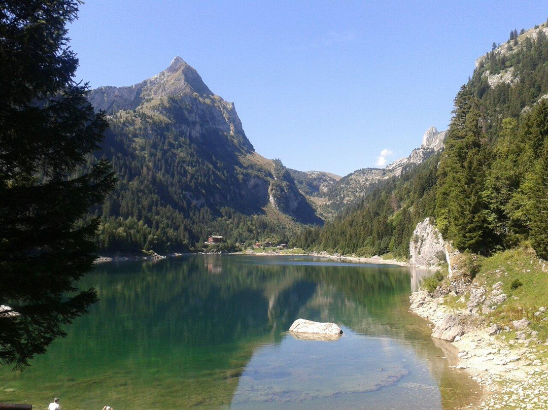 Lac De Tanay景点图片