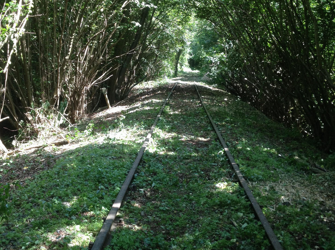 Railbike Limburg景点图片