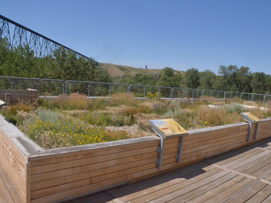 海伦·舒勒自然中心-莱斯布里奇必去景点