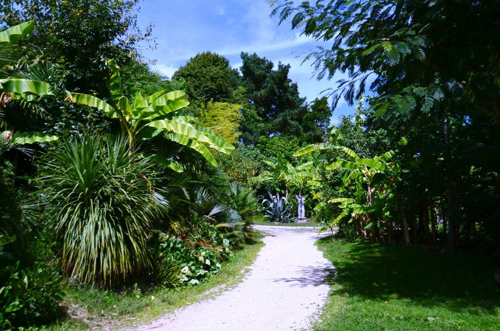 Palmeraie du Sarthou