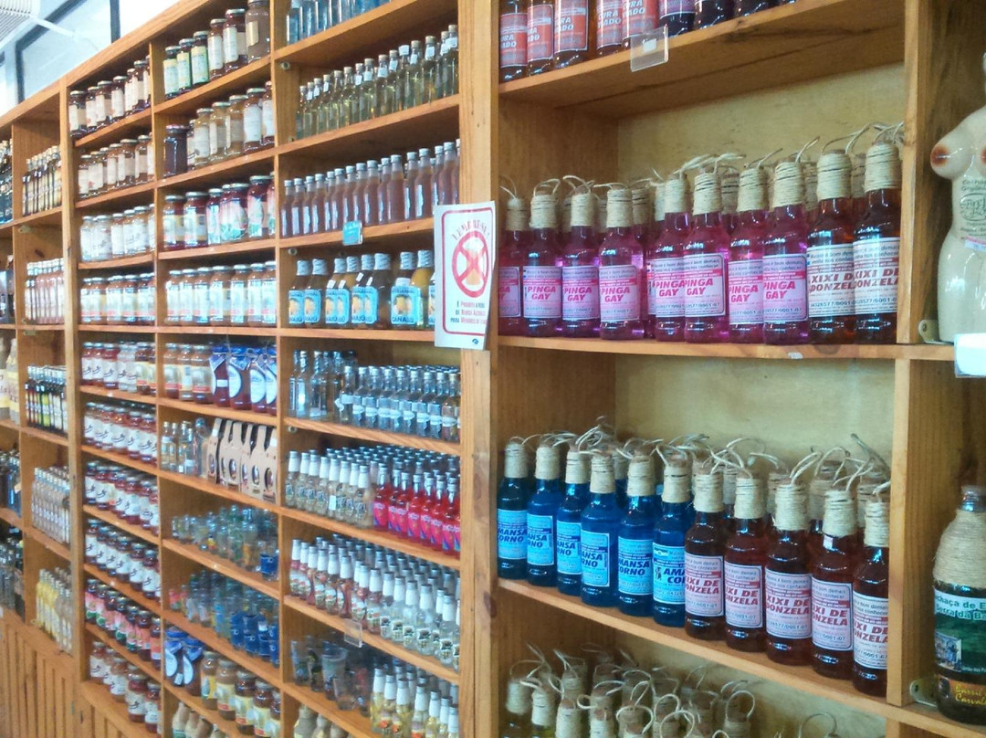 Casa Nordeste-Maceio必去景点