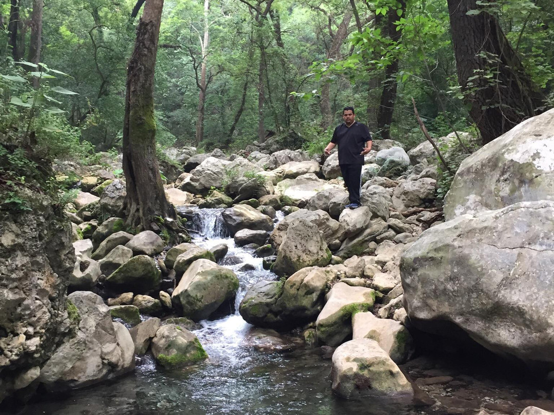 Parque Natural La Estanzuela景点图片