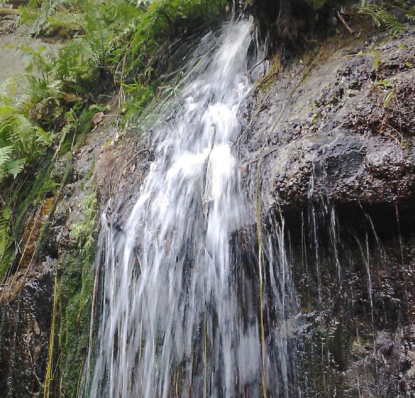 Tada Falls景点图片