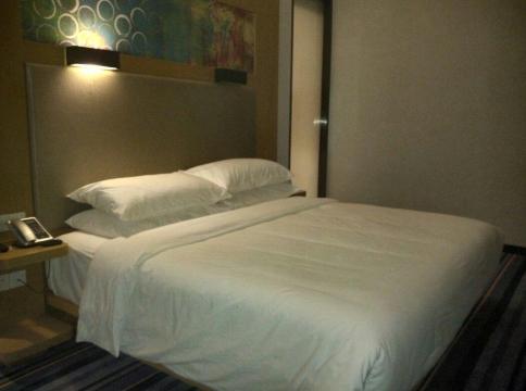 广州大学城雅乐轩酒店-客卧