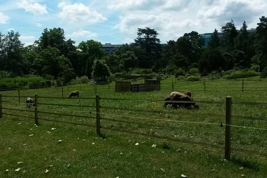 Conservatoire et Jardin botaniques de Genève-Pregny-Chambesy必去景点