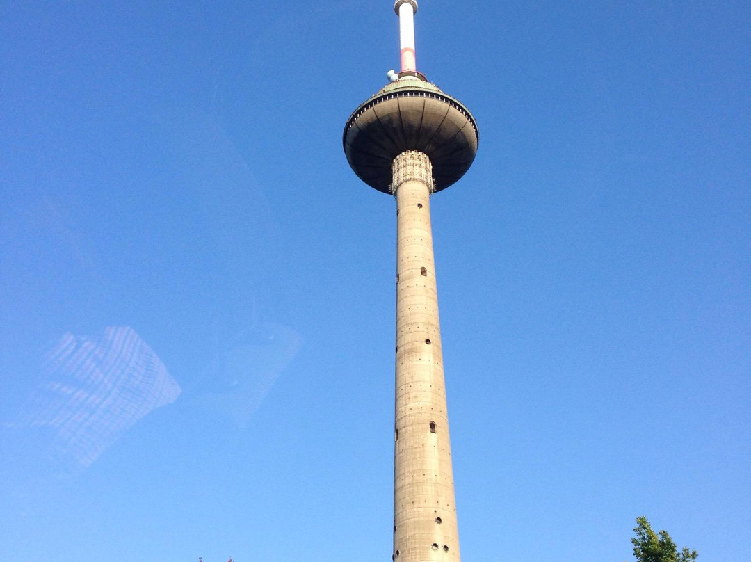 Grigiskes餐馆和美食-Paukščių Takas