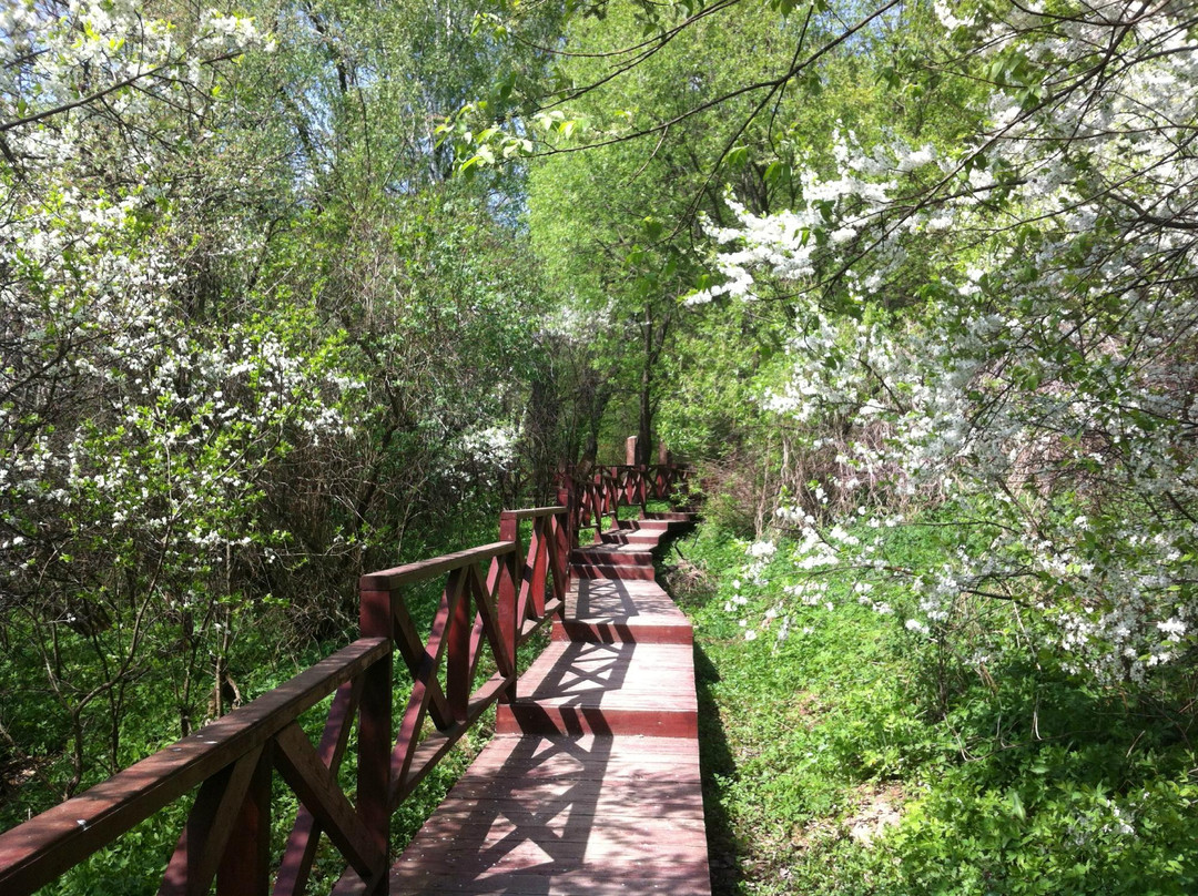 Park Valley of River Skhodnya-莫斯科必去景点