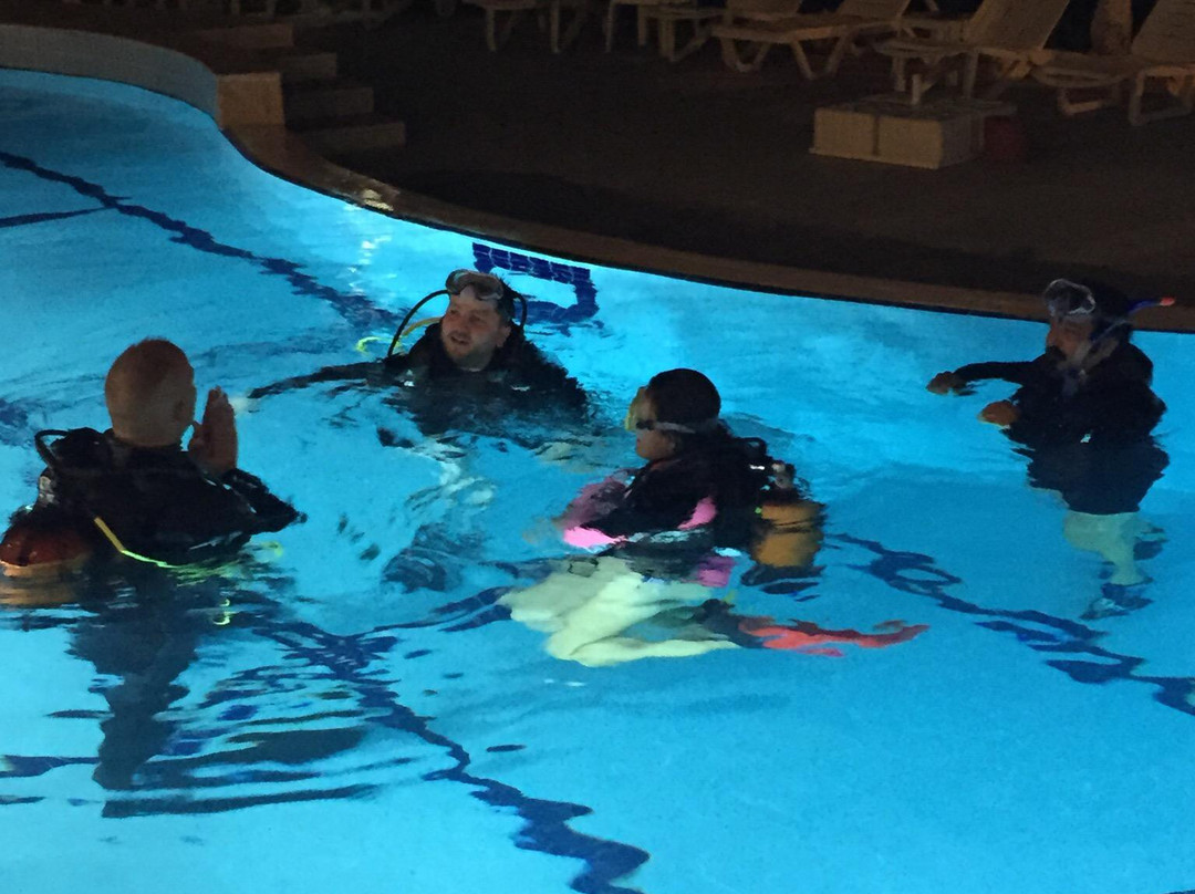 Octopus Diving Center-凯梅尔必去景点