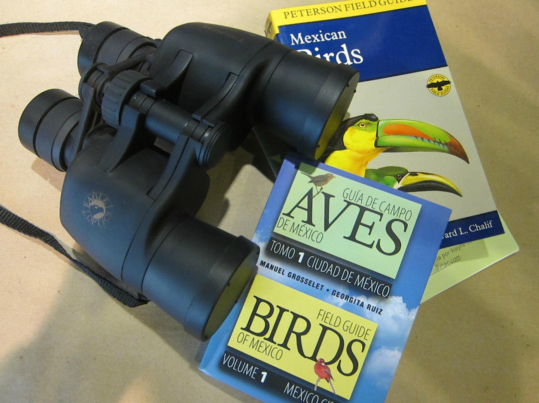 Camino Silvestre-圣米格尔护城必去景点