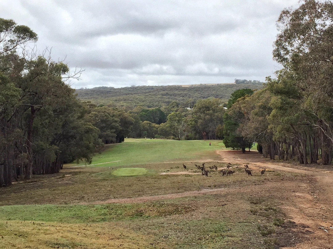 Hepburn Golf Course-Hepburn Springs必去景点
