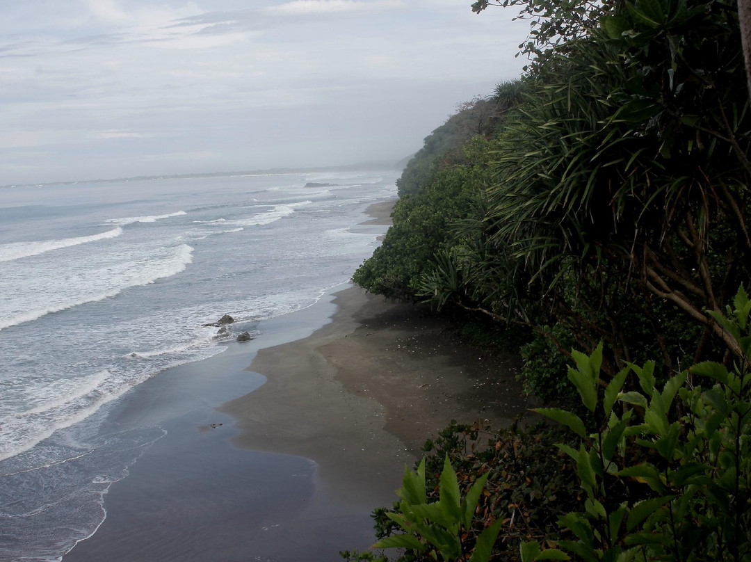 Karang Nini Beach-庞岸达兰必去景点