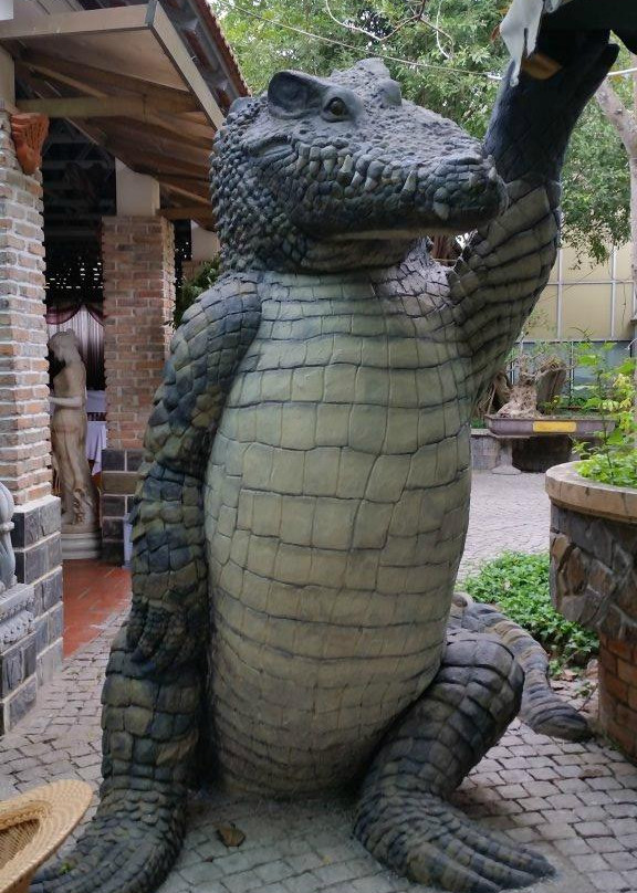 Blue Sky Crocodile Land (Long Xuyen Crocodile)-Long Xuyen必去景点