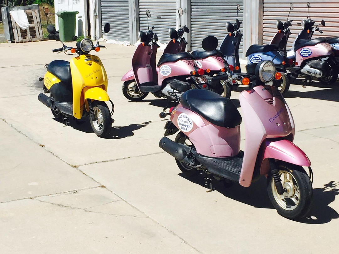 Road Runner Scooter Hire-Magnetic Island必去景点