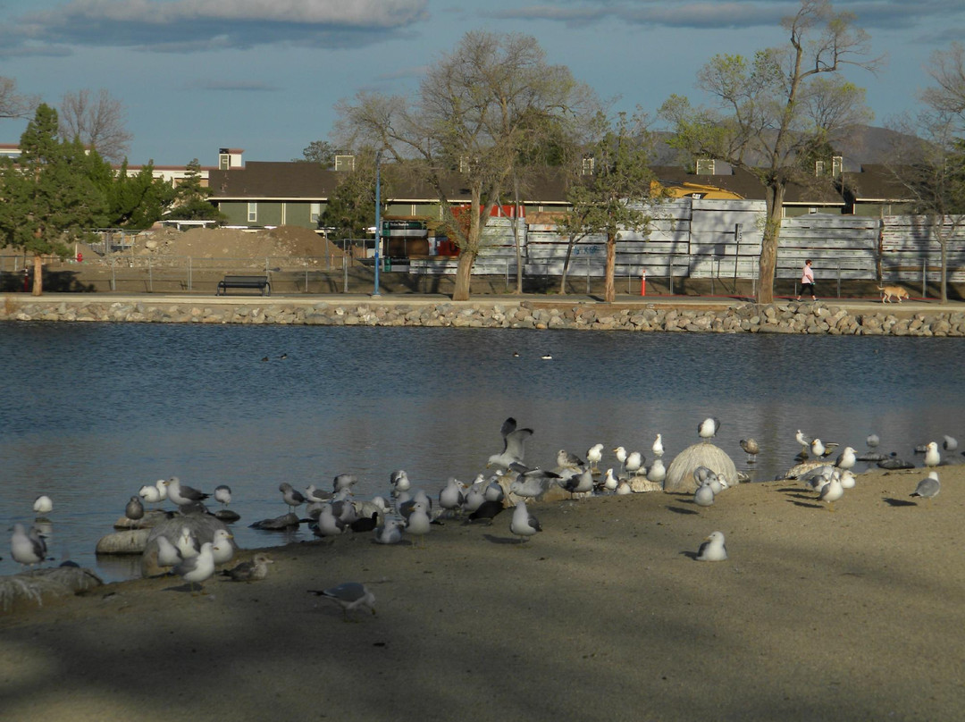 Virginia Lake Park景点图片