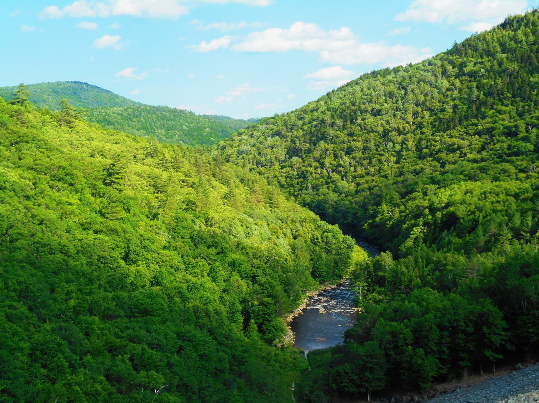 Jamaica State Park-Jamaica必去景点
