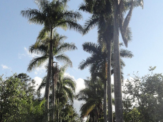 Praca Dom Ferrao-Campanha必去景点