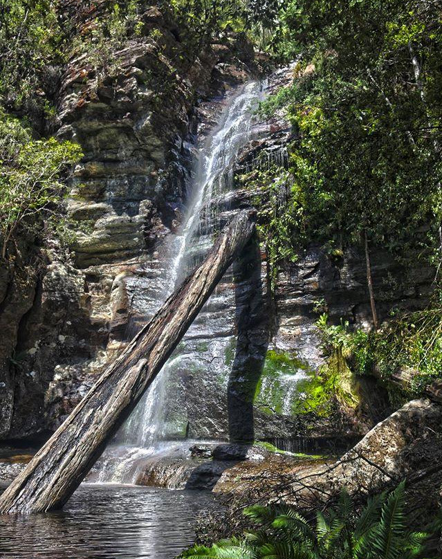 Oyster Cove旅游景点-Snug Falls