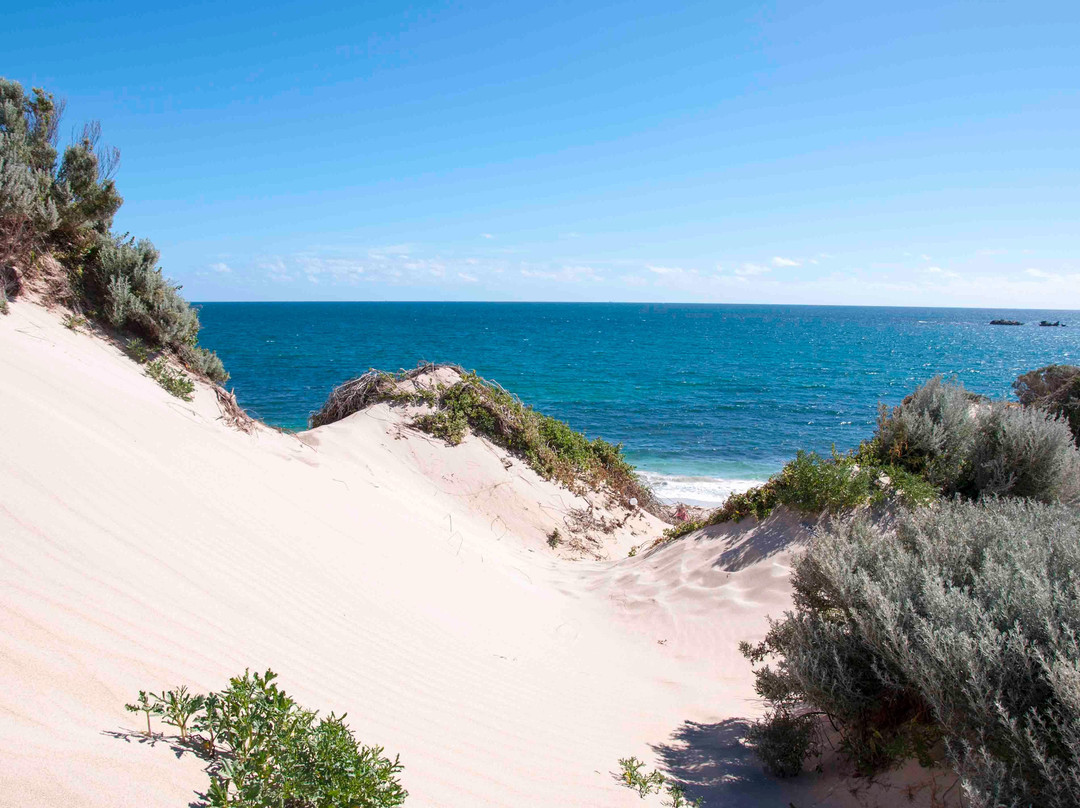 Yanchep National Park景点图片