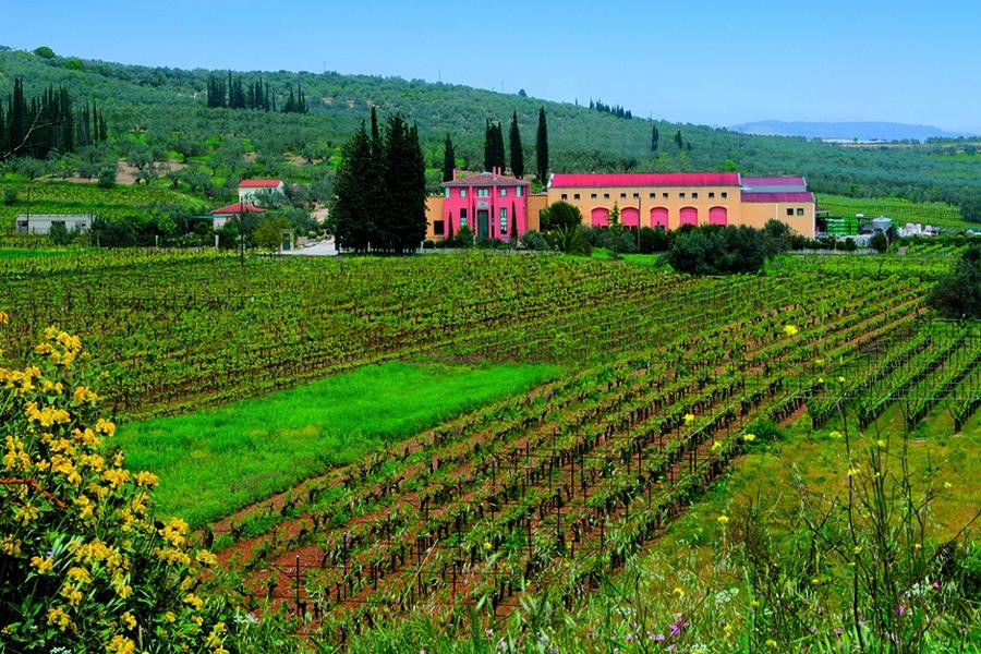 Lafazanis Winery景点图片