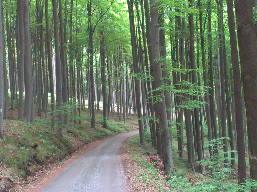 Pension U Lisku主图