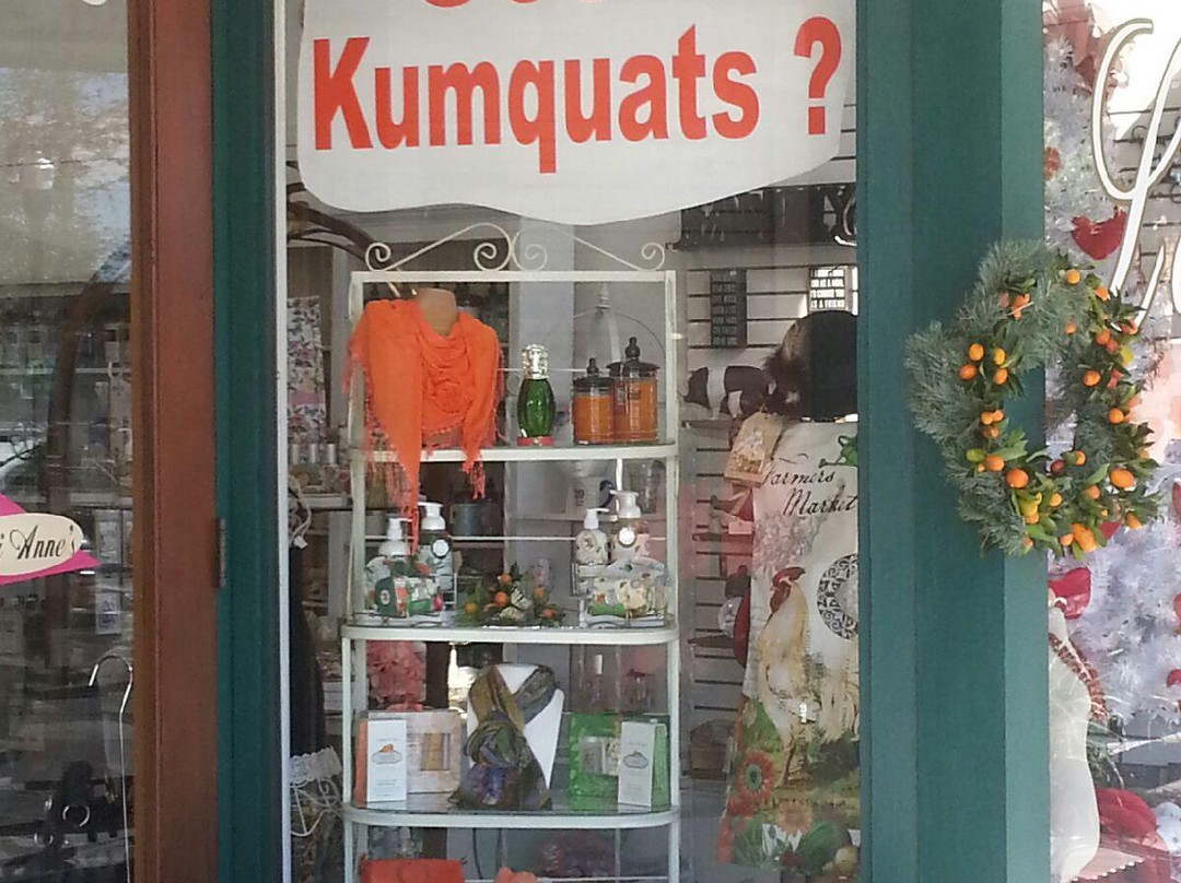 Lori Anne's-Dade City必去景点