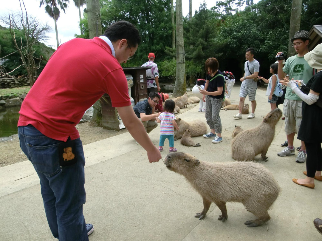 Nagasaki Bio Park景点图片