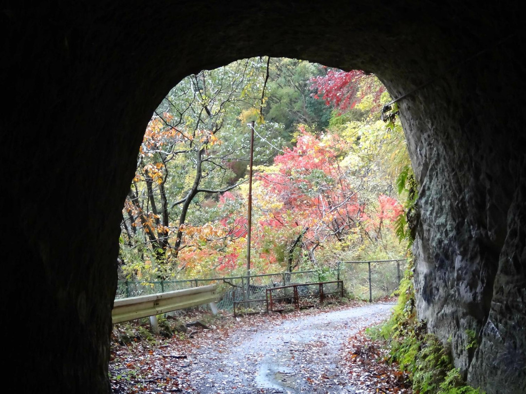 Yakumo Shrine-君津市必去景点