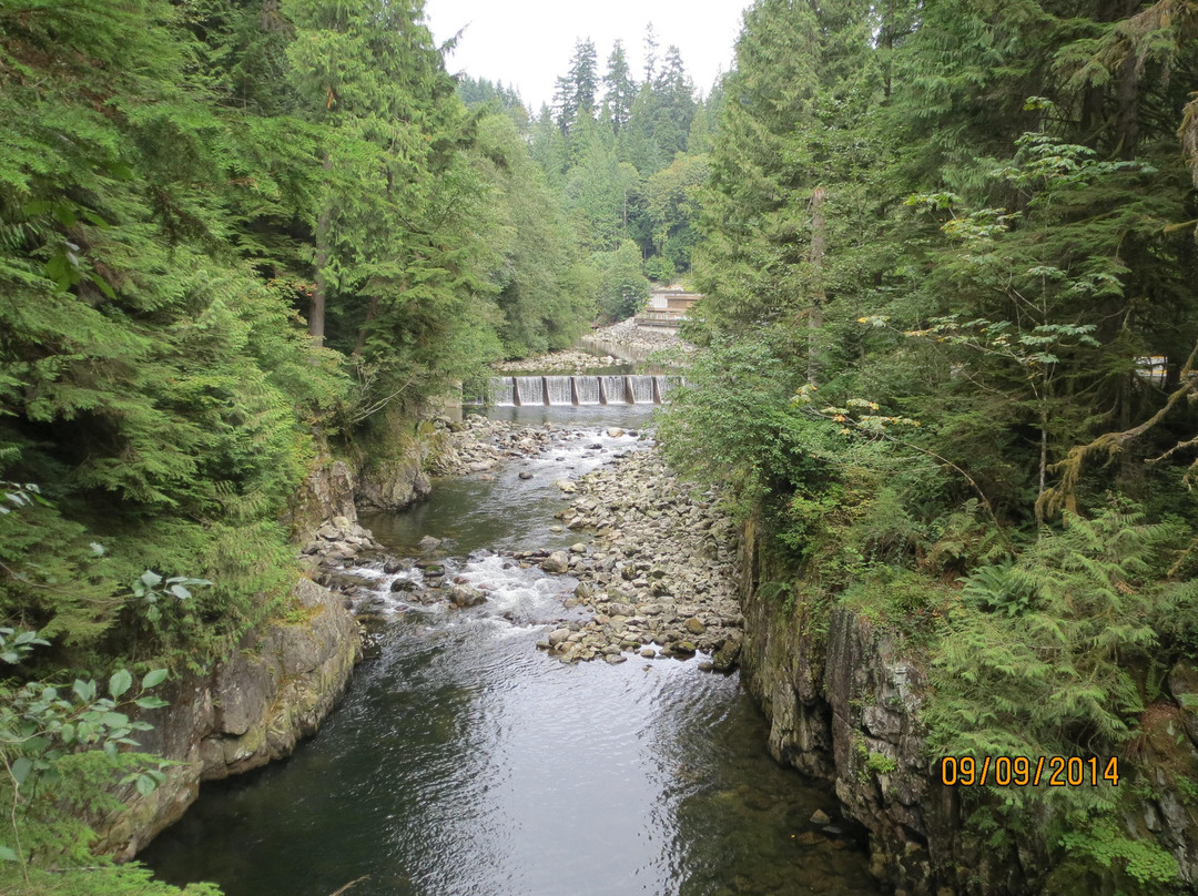 Capilano Salmon Hatchery景点图片