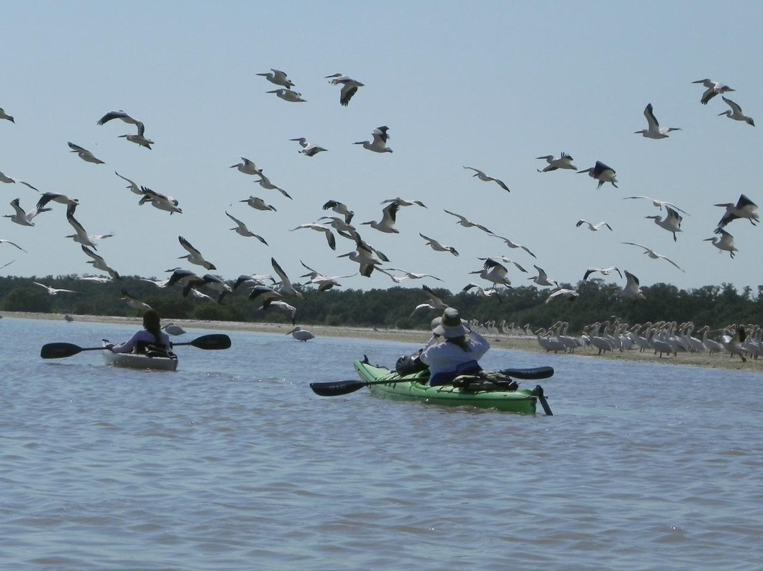 Snake Bight-大沼泽国家公园必去景点