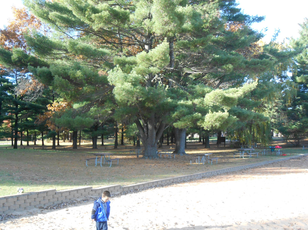 Castle Rock County Park景点图片