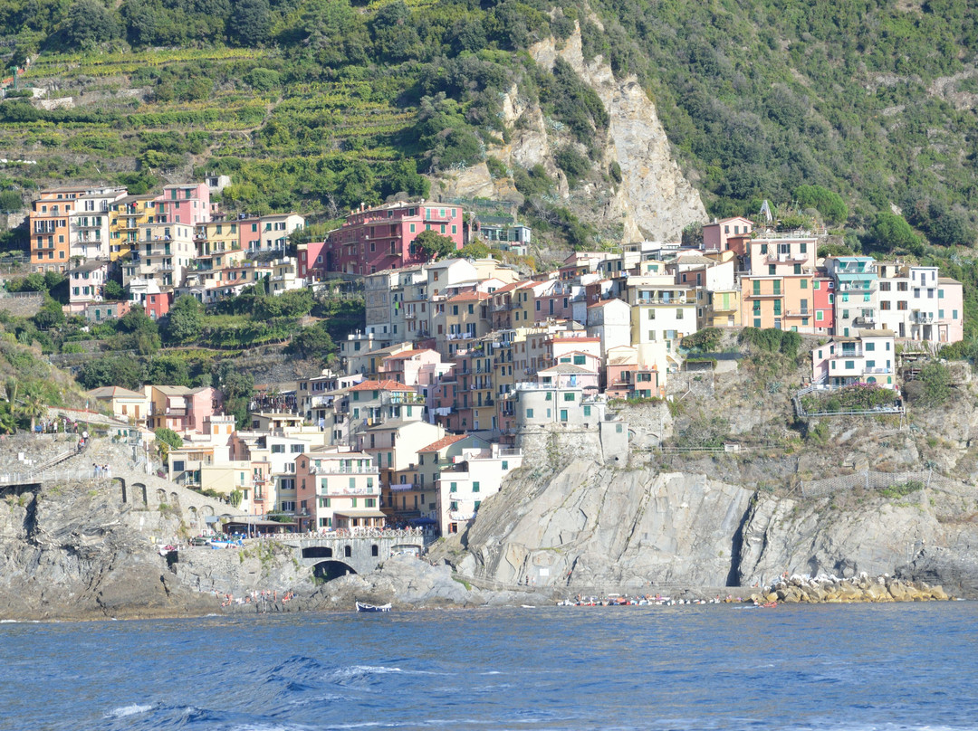 Trail 531 Riomaggiore - Manarola景点图片
