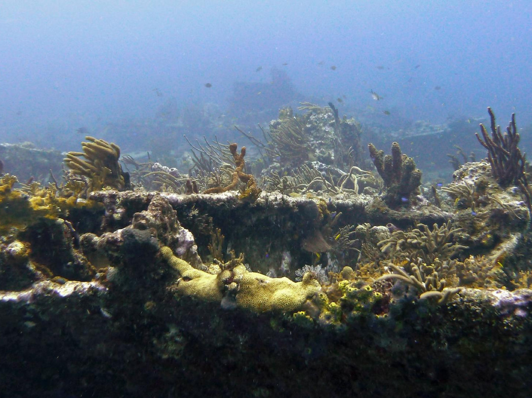 Rhone National Marine Park景点图片