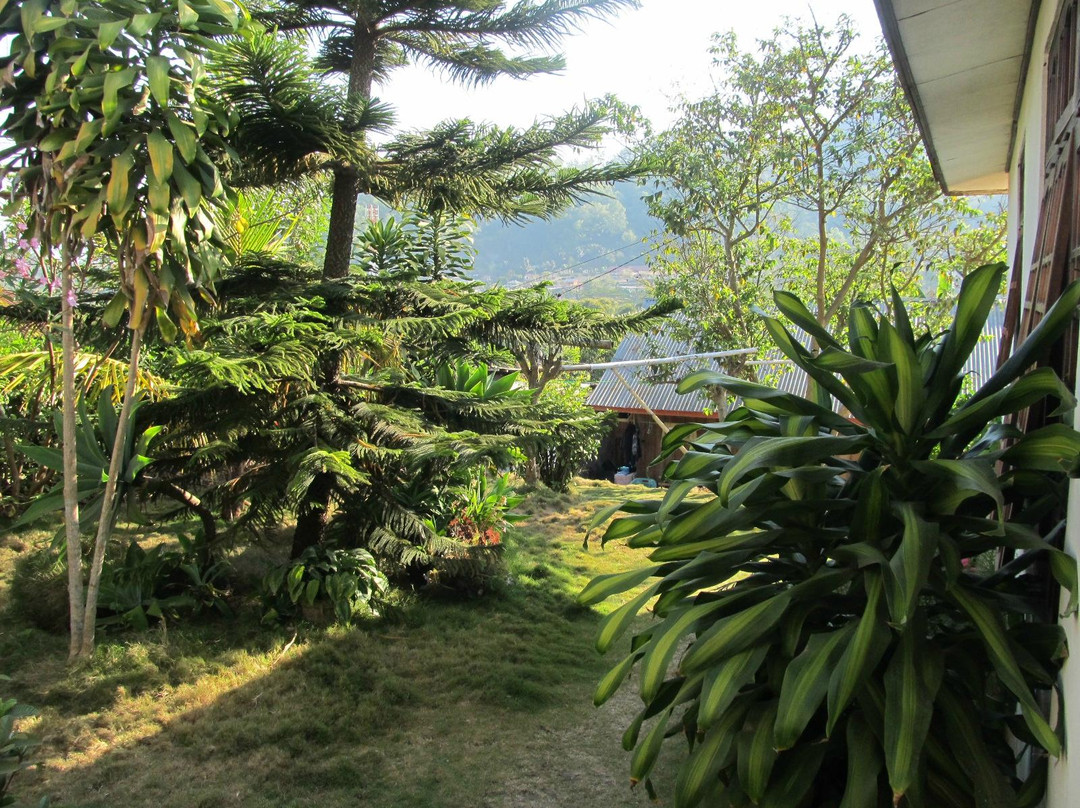 Marselino's Homestay主图