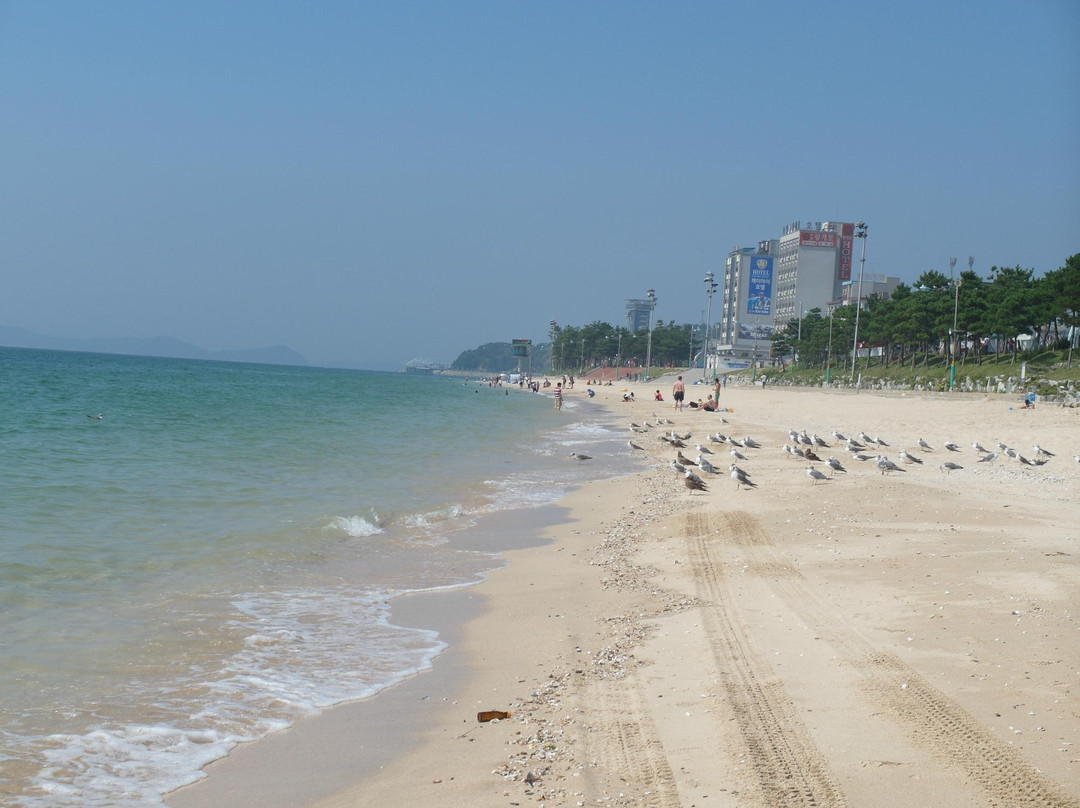 Dacheon Beach-保宁市必去景点