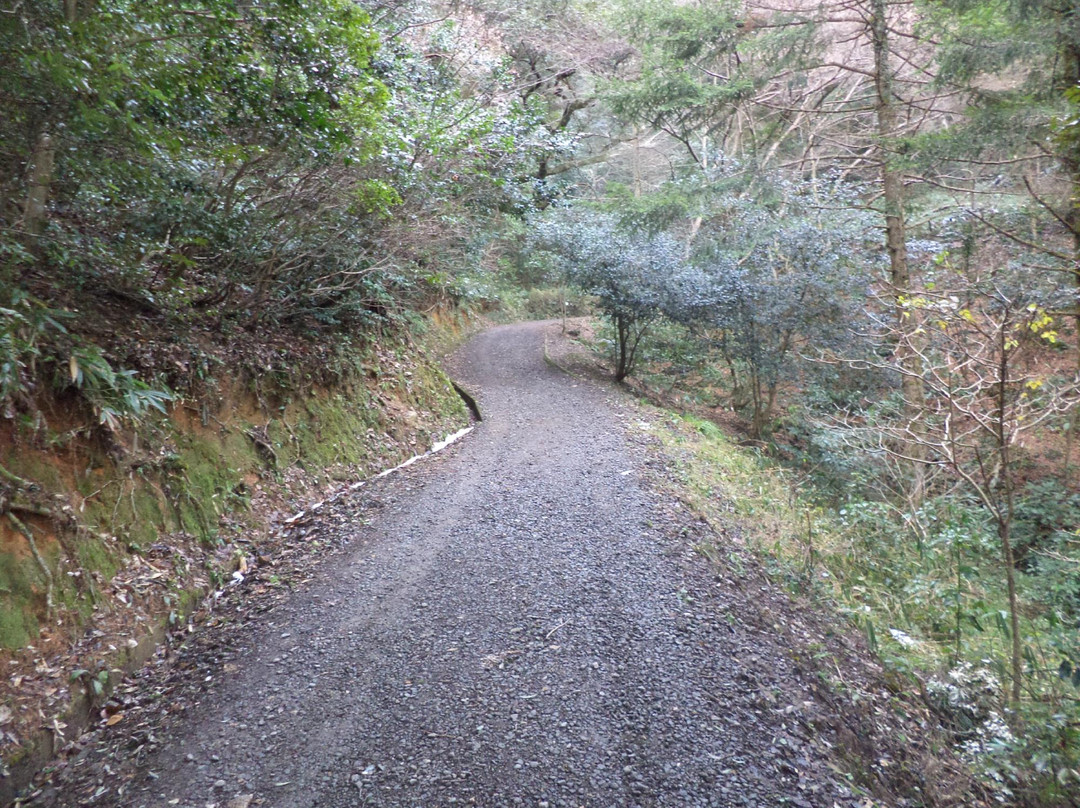 Mt.Utsubuki景点图片