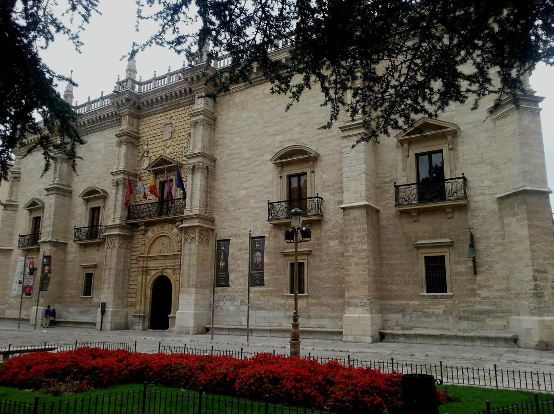 Palacio de Santa Cruz景点图片