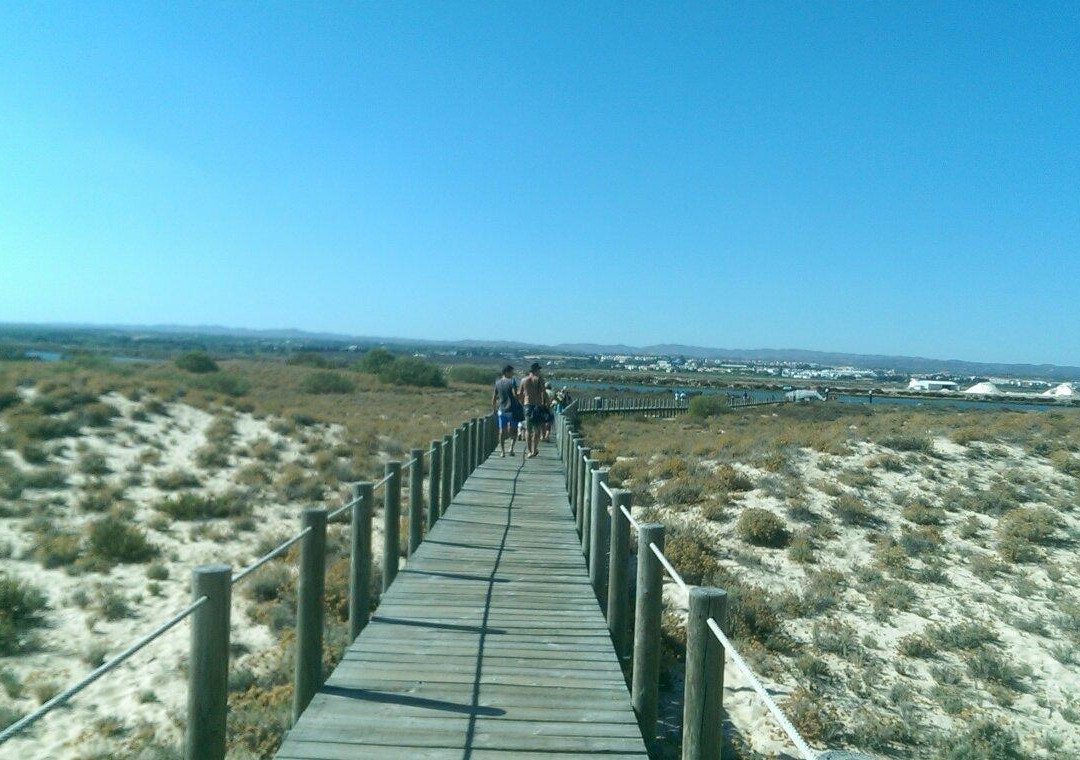 Praia da Terra Estreita景点图片