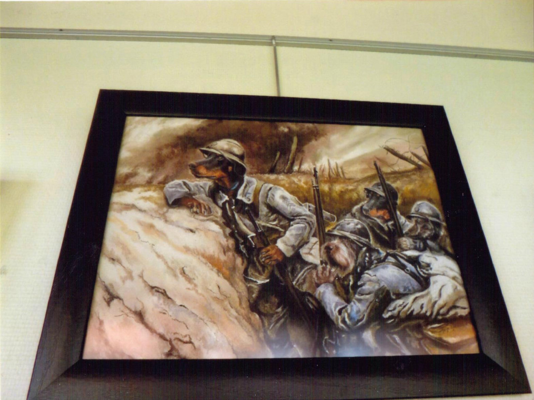 Musee de la Vie Rurale景点图片