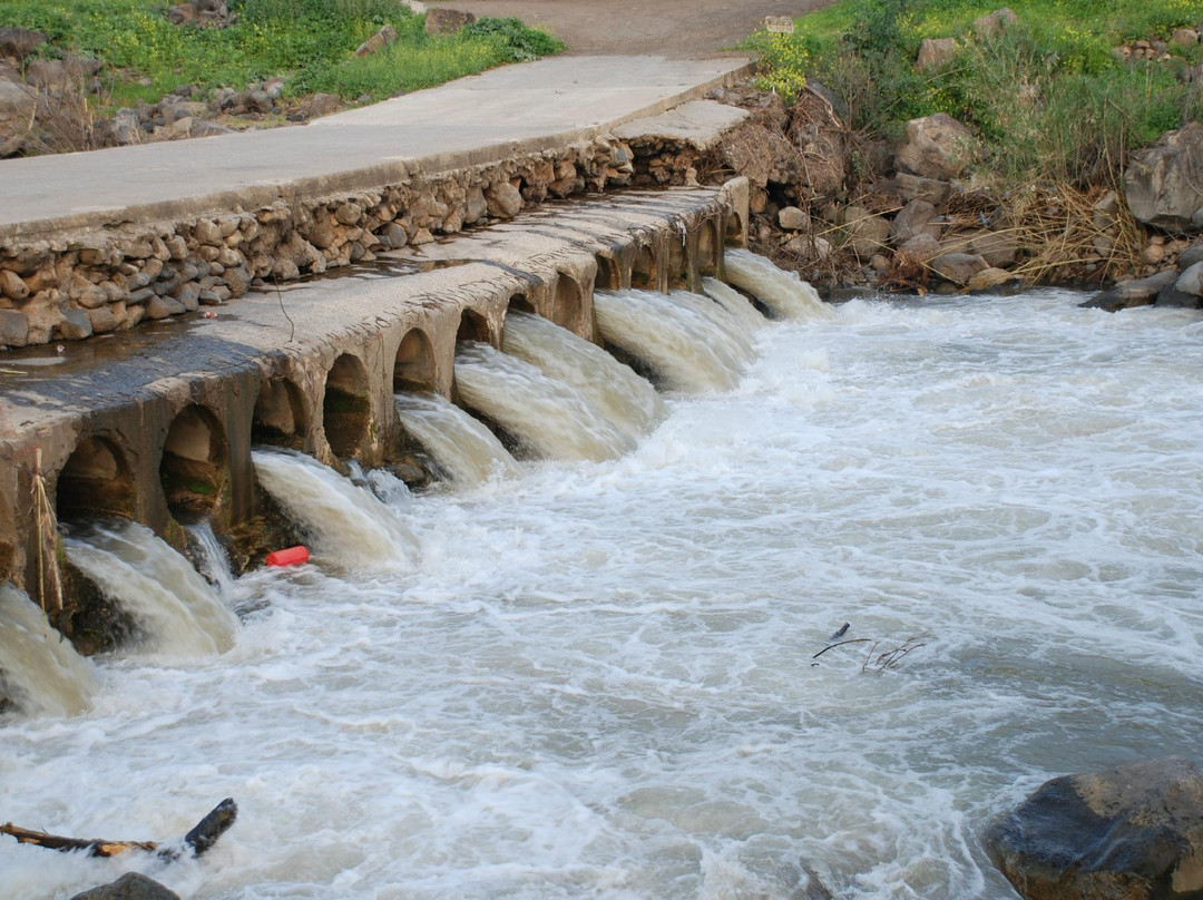 Galilee Private Tours-提比利亚必去景点