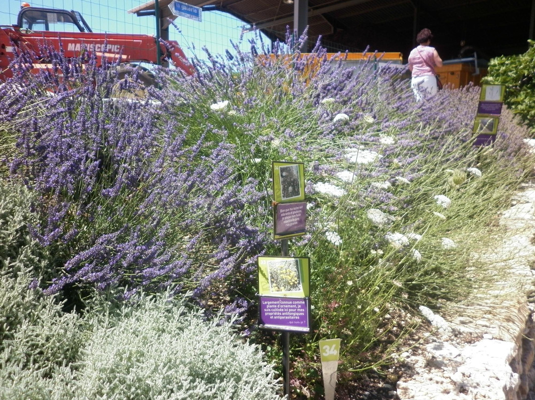 Aroma'Plantes Distillerie景点图片