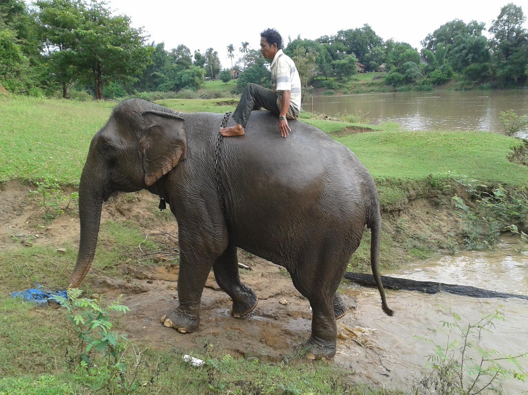 Yokdon National Park-Cu Jut District必去景点