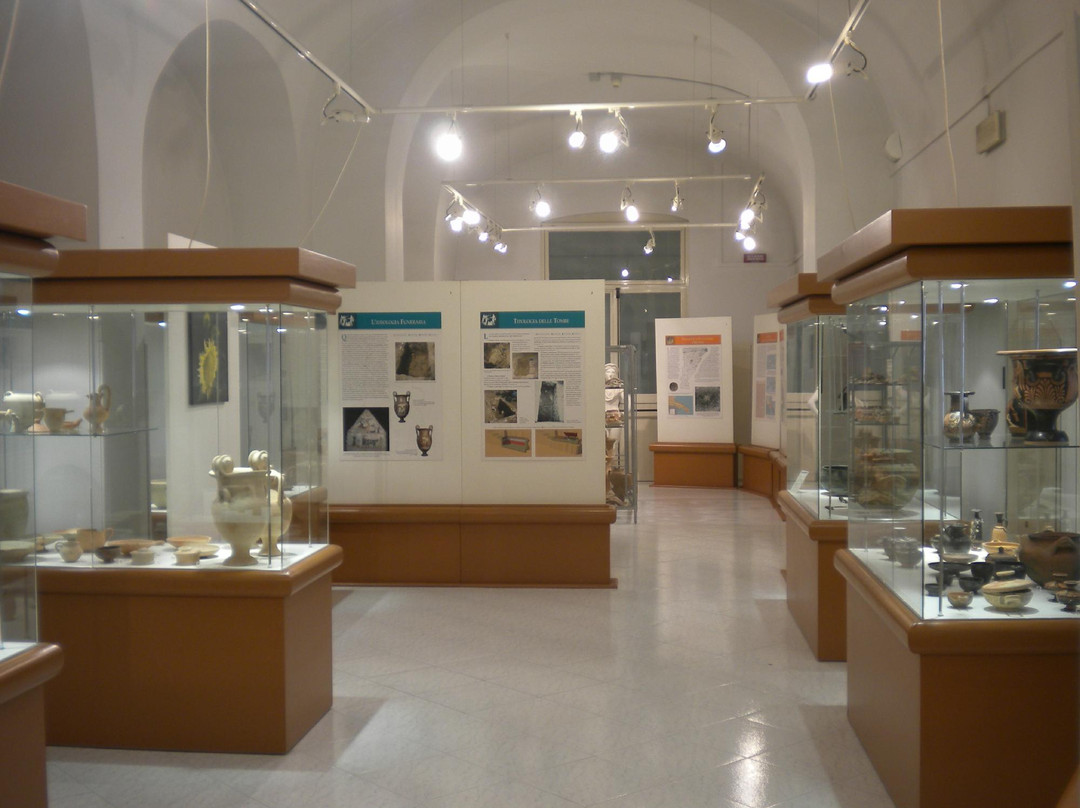 Museo Archeologico De Palo Ungaro景点图片