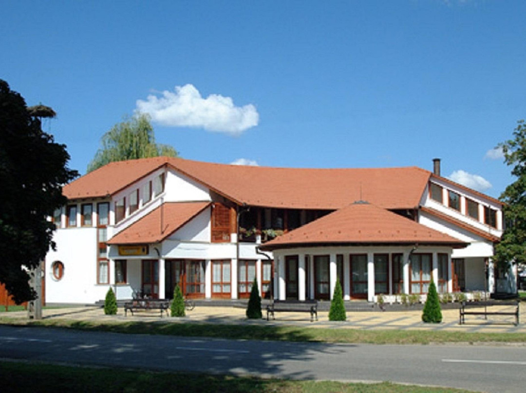 Arany Oroszlan Panzio